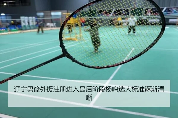 辽宁男篮外援注册进入最后阶段杨鸣选人标准逐渐清晰